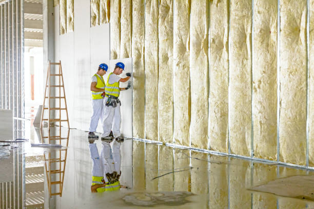 Best Insulation for Specific Applications in Ivanhoe, TX